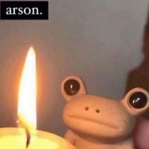 Meet your Posher, Kayelyn